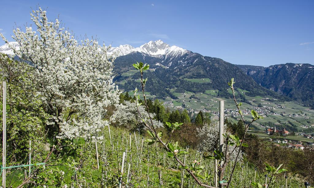 Residence Innerfarmerhof Tirolo Bagian luar foto